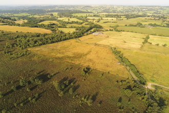 Gun Moor Meadow - Tom Ellis