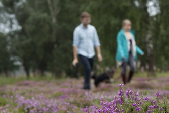 two people walking