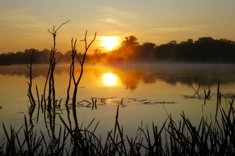 The sun sinks into a dark treeline in the background. In the foreground a wetland that reflects the sky shines in the evening light.