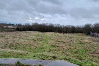 Vacant land under a grey sky lined by trees in the distance.