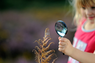 Girl observes spider web through magnifying glass