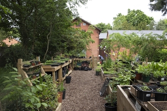 A view of a plant nursery jam-packed with plants