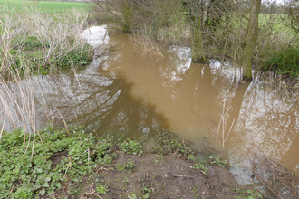 Murky brown/grey water merges with lighter brown water in a river, bordered by trees and farmland