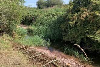 A bank along a river featuring a berm, a series of cut brush woven together. The other side of the river is covered in vegetation.
