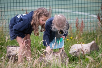 Two young school girls hunt for bugs around log piles