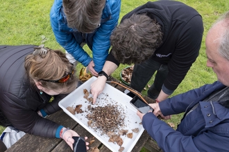 A group of people dressed for the outdoors gather around a tray filled with leaf litter and insects on top of top of a picnic table. One man points out a species, while the others observe and hold their phones ready to snap photos.