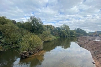 A wide expanse of river with a small island of foliage. The banks have been recently scraped by a digger in the background to be shallow.