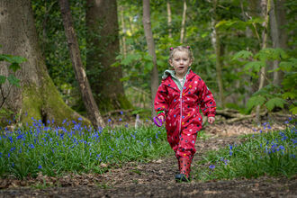 A young girl walks along a path through bluebells in a wood. She wears a bright red/pink waterproof suit.