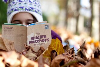 A girl with a patterned hat on lying in the autumn leaves reading a handbook called 'Wildlife Watchers'.