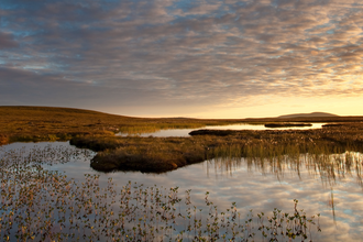 A sunset over a peatland.