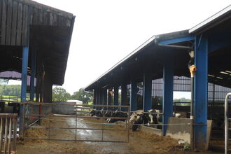 Rainwater harvesting