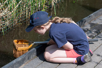 Pond dipping