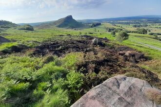 A green lush landscape in the distance with a distinct rocky peak, with a charred area of burnt vegetation in the foreground.