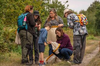 A group of adults and a child stand in a nature reserve with sweep nets examining bugs