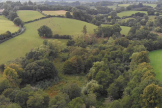 A green landscape of farm fields and woodland from above