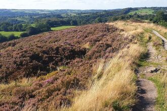 A path running along the top of a hill with heather on the hillside and a green valley in the distance