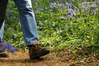 walk