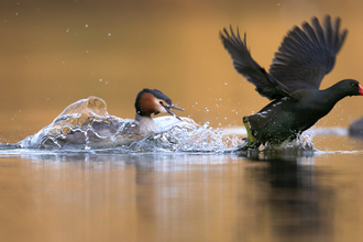 Jon Hawkins - Surrey Hills Photography