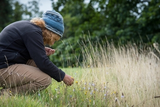 A woman crouches in a meadow and inspects something in her hand. There are trees behind her. She wears beige casual trousers and a dark top, plus a woollen hat.