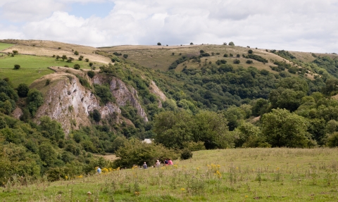 Weag's Barn - landscape