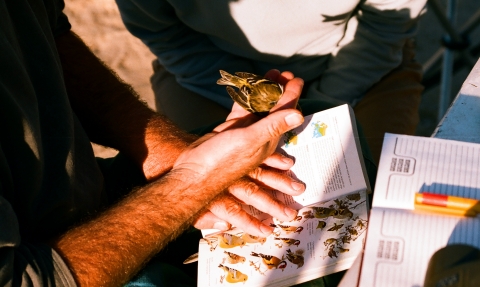 Surveying at Staffordshire Wildlife Trust