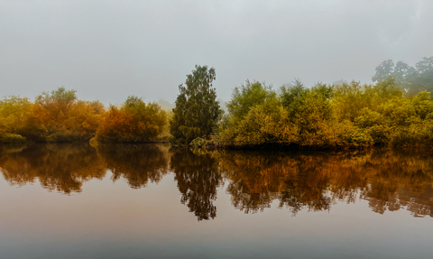 A lake scene showing a row of trees reflected in the water with a misty hazy sky