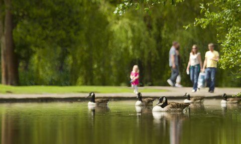 People walk around a pond in the park.