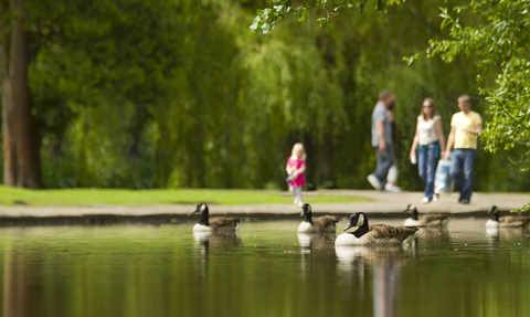 People walk around a pond in the park. 