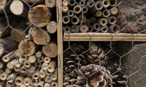 A detailed image of a big bug hotel filled with bamboo tubes and pinecones