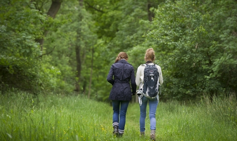 Two people walking though a woodland.