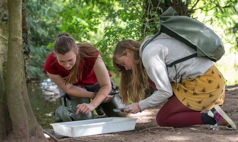 two women inspect a tray filled of river specimens on a sunny day alongside a stream.