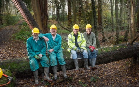 Mike, Bernard, John and John sat on a tree with hard hats on