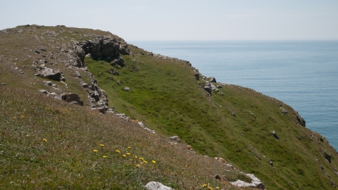 Lowland limestone grassland