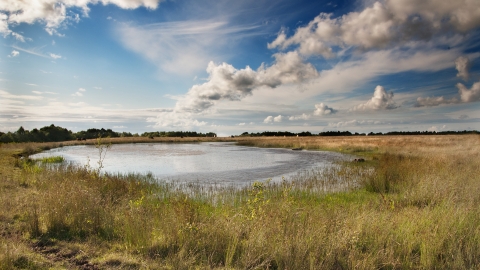 Bateswood Nature Reserve