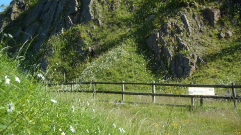 Brown End Quarry - Nature Reserve