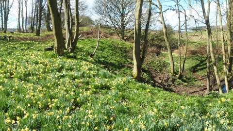 George's Hayes Nature Reserve