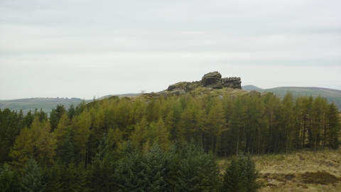 Black Brook - Nature Reserve 