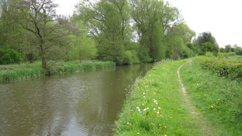Radford Meadows - veiewed from canal