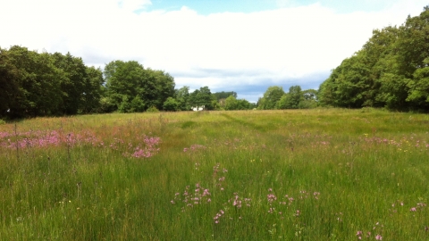 Allimore Green - Nature Reserve