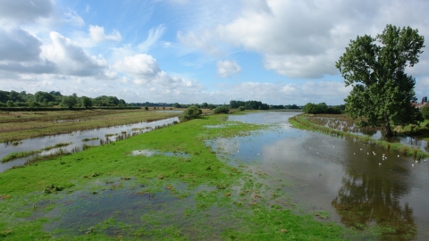 Radford Meadows - nature reserve