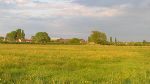 Pasturefields saltmarsh