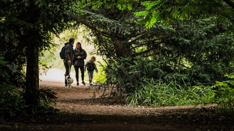 Explore The Wolseley Centre