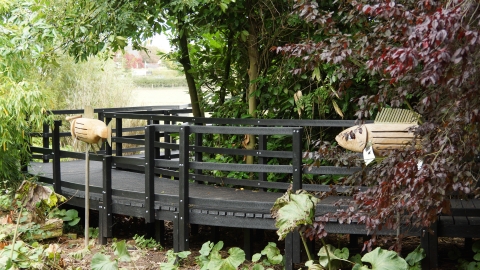 Fish sculptures at Wolseley