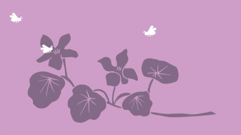 How to plant flowers for bumblebees
