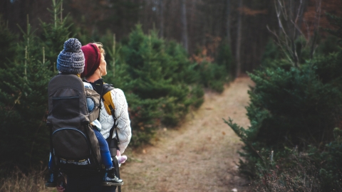 Guided walks around our reserves