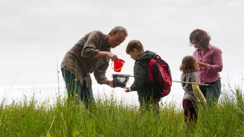 Pond dipping - 30 days wild