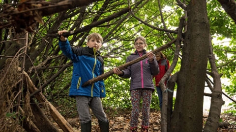 Den building
