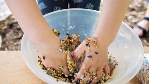 Making bird feeders