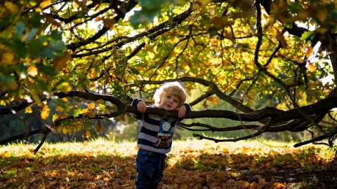 Wildlings - Boy by tree