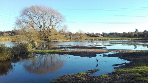 Tucklesholme